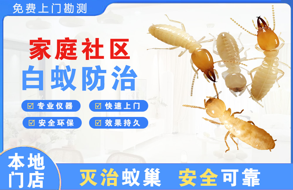 恩施家庭社区白蚁防治