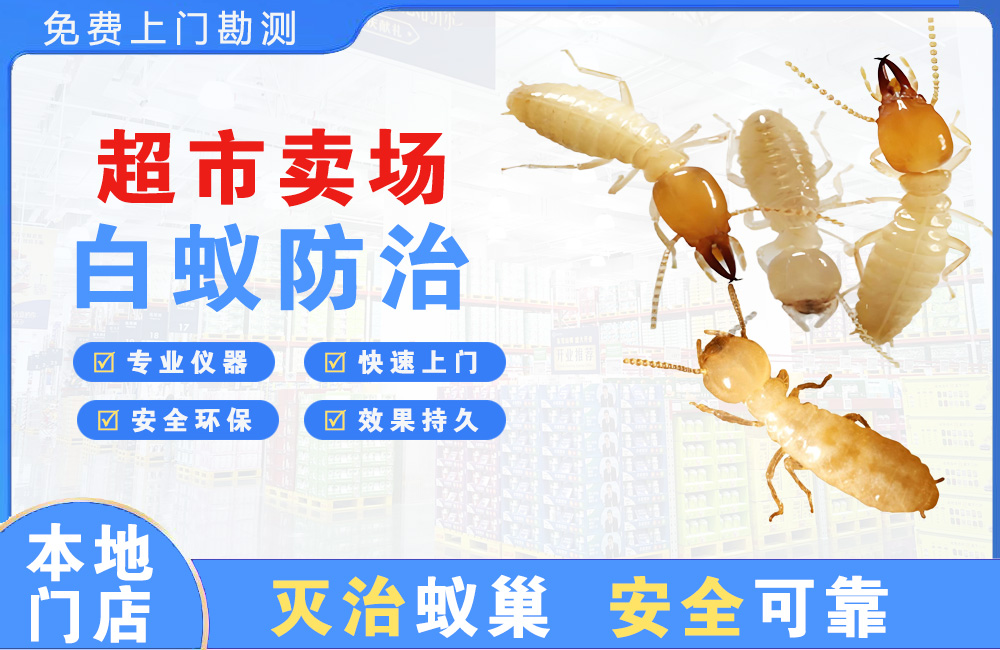 恩施超市卖场白蚁防治