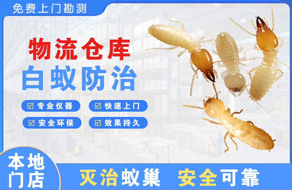 恩施物流仓库白蚁防治