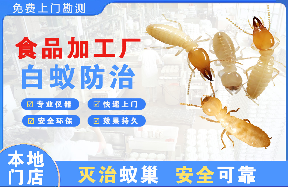 恩施食品加工厂白蚁防治