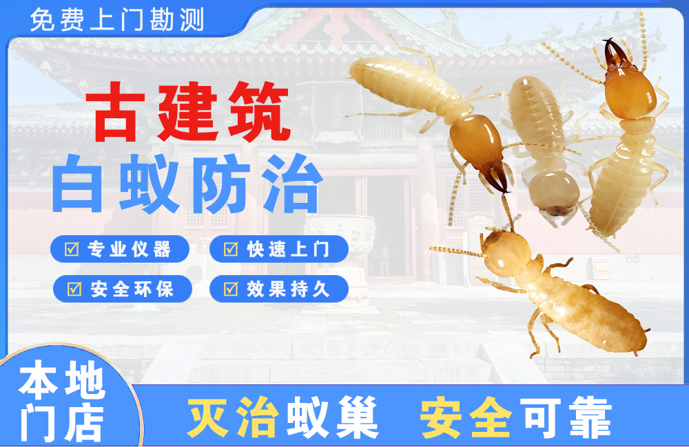 恩施古建筑白蚁防治