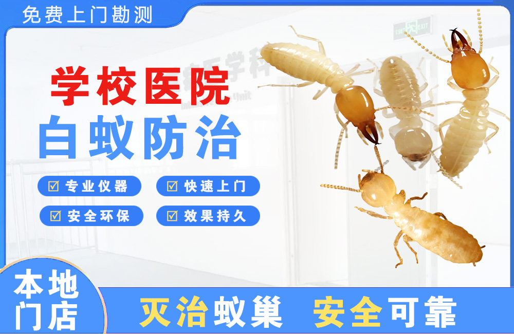 恩施学校医院白蚁防治