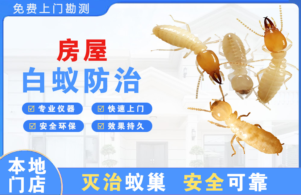 恩施房屋白蚁防治