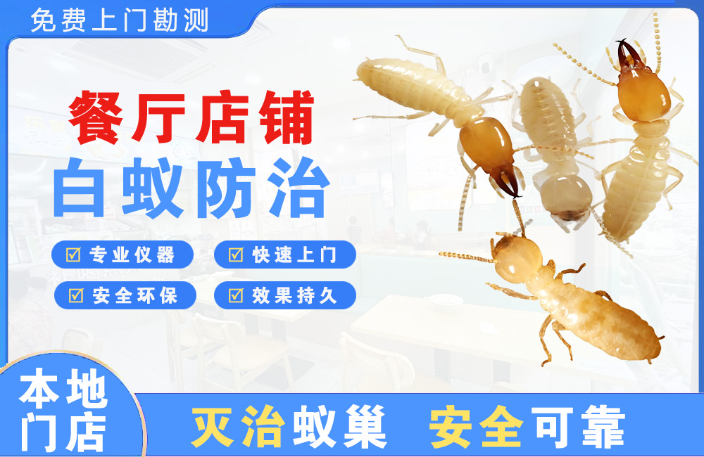 恩施餐厅店铺白蚁防治